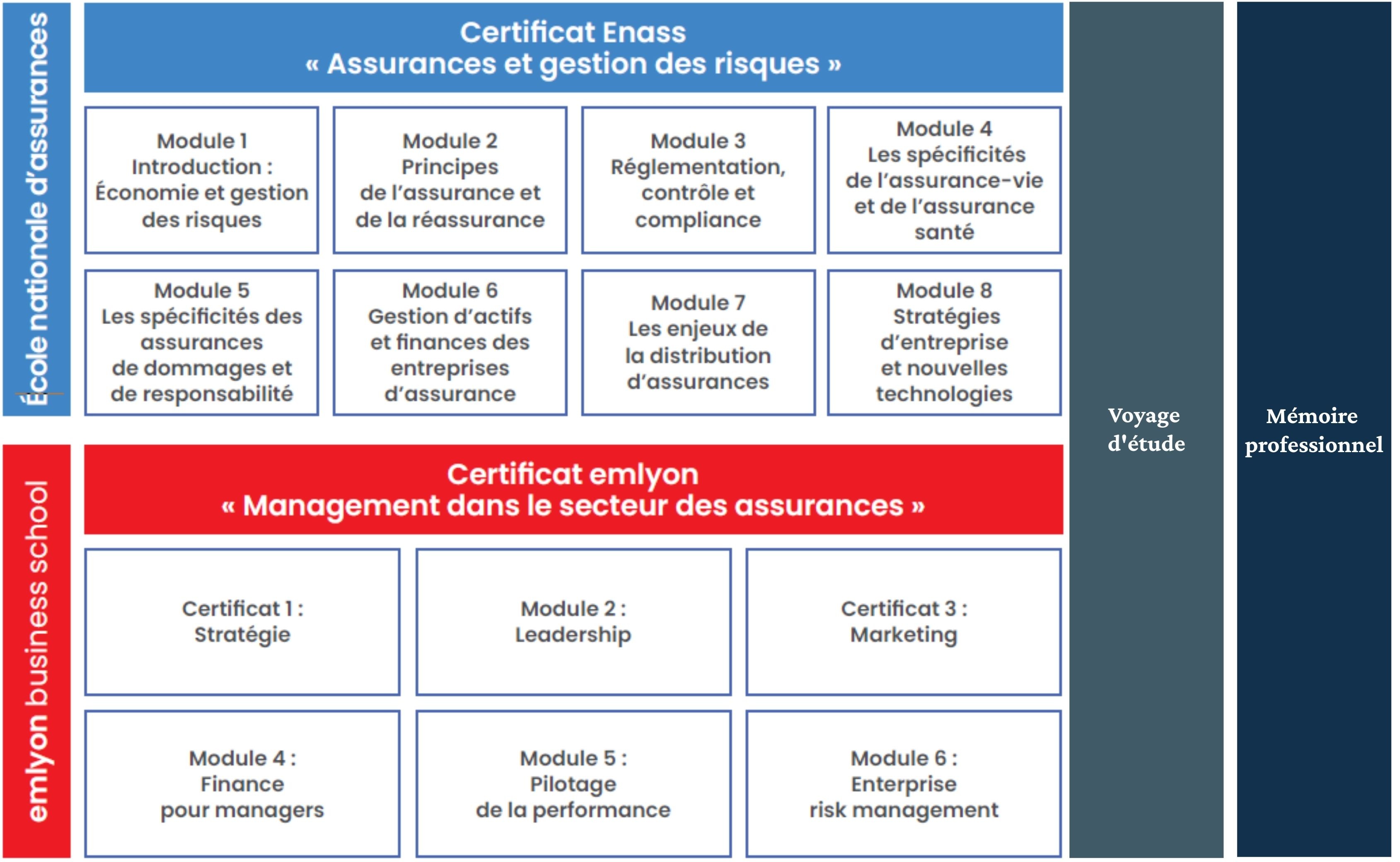 Programme Executive Master Enass x emlyon business school